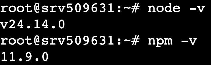 terminal-node-v-npm-v The node -v and npm -v commands' output in the terminal