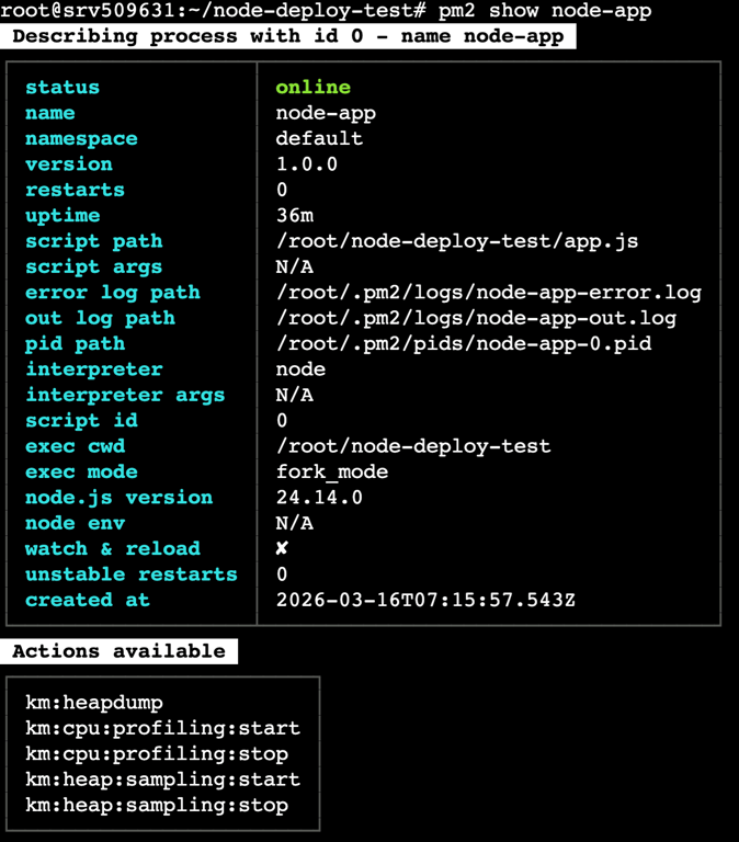 terminal-pm2-show-node-app The pm2 show node-app command's log in the terminal