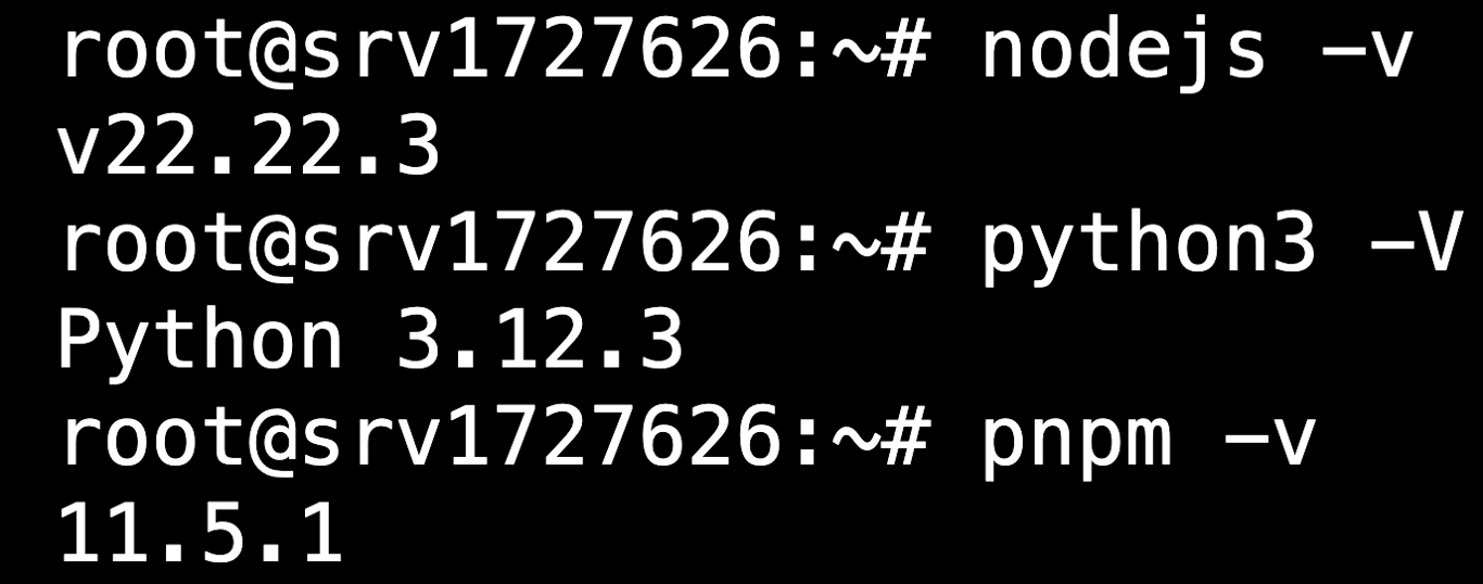 Terminal showing Node.js 22.22.3, Python 3.12.3, and pnpm 11.5.1 versions
