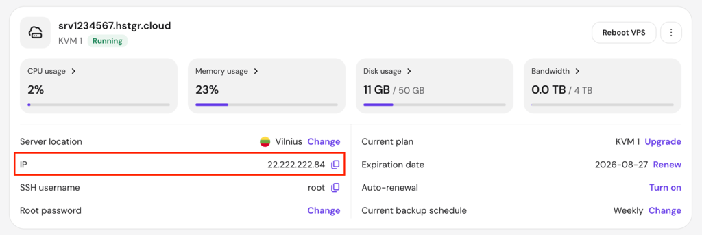 hpanel-vps-ip-highlighted The IP information on hPanel's VPS