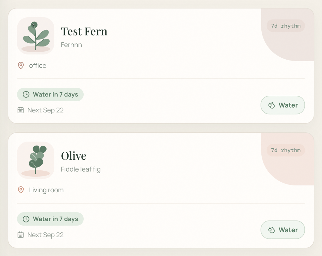 Plant watering cards for Test Fern and Olive, showing their locations, seven-day watering schedules, next watering date, and Water buttons.