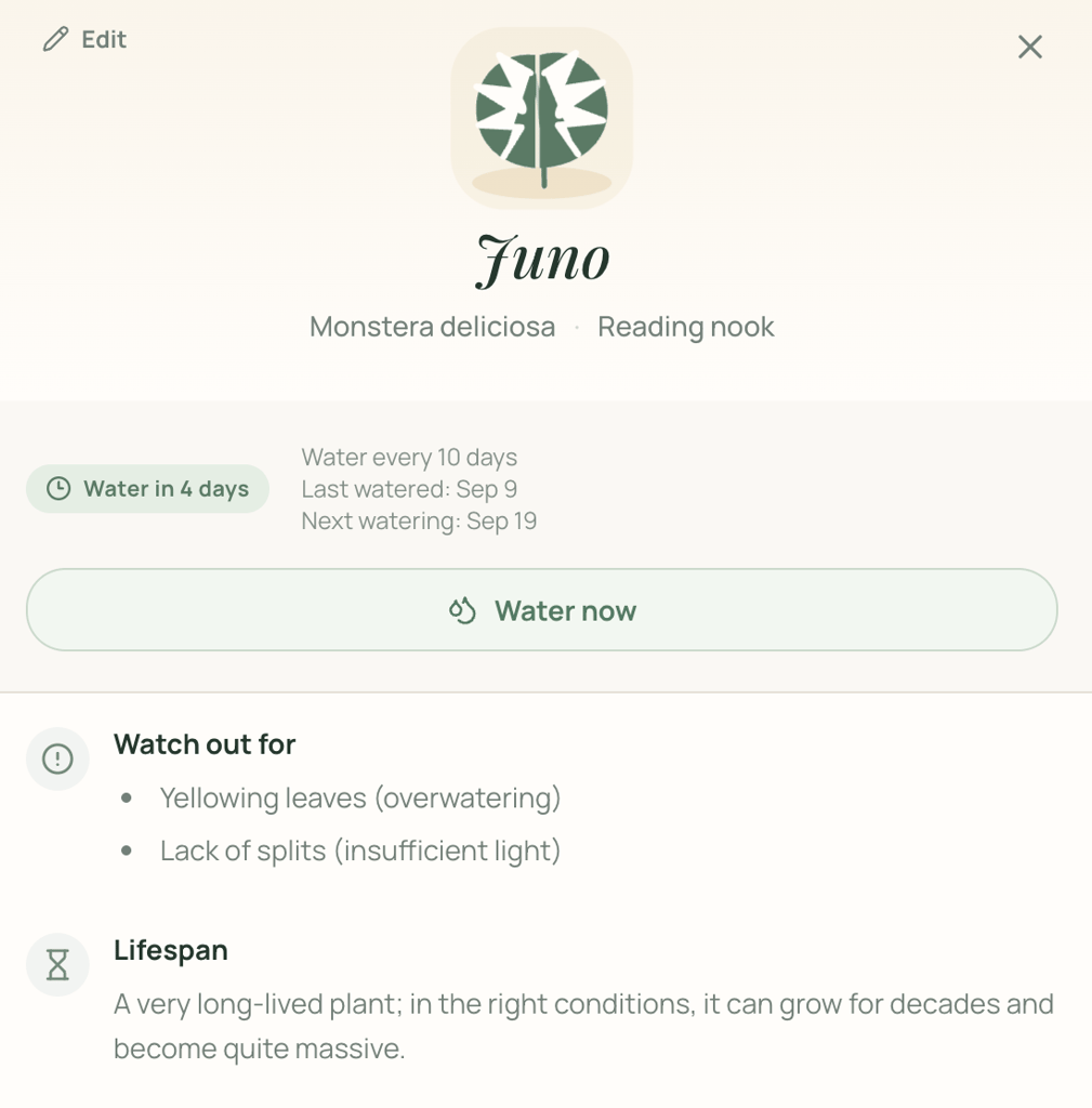 Plant details for Juno, a Monstera deliciosa in the reading nook, showing its watering schedule, common problems to watch for, and lifespan information.
