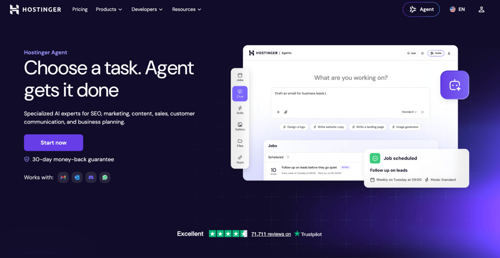 Hostinger Agent homepage