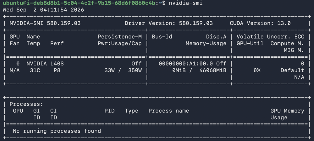 Terminal output from nvidia-smi showing an NVIDIA L40S with available VRAM