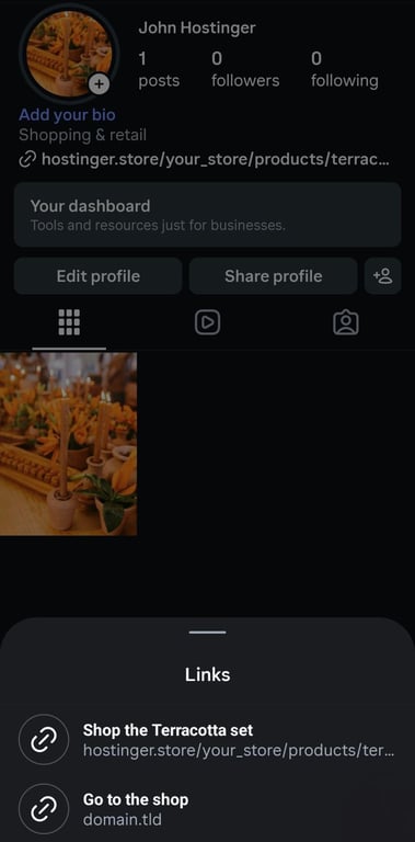 Instagram business profile showing a product link under the bio, with the Links sheet open and two link titles: Shop the Terracotta set and Go to the shop