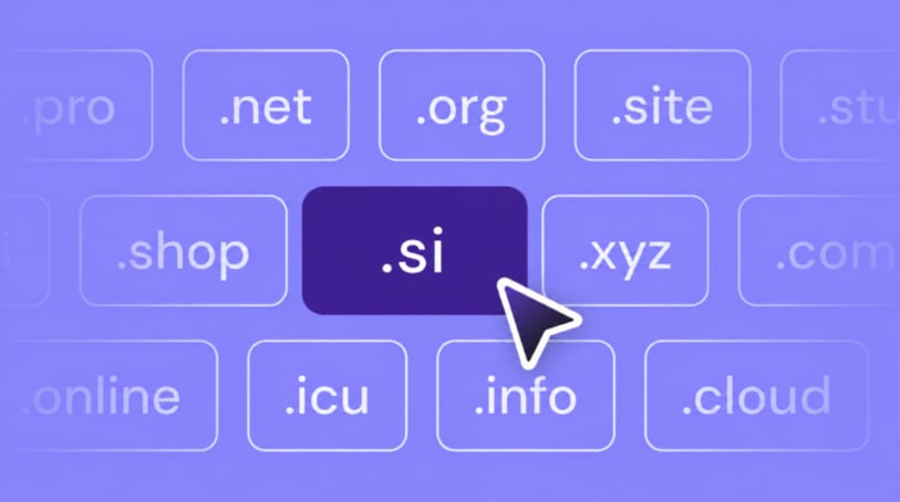 What is a .si domain?