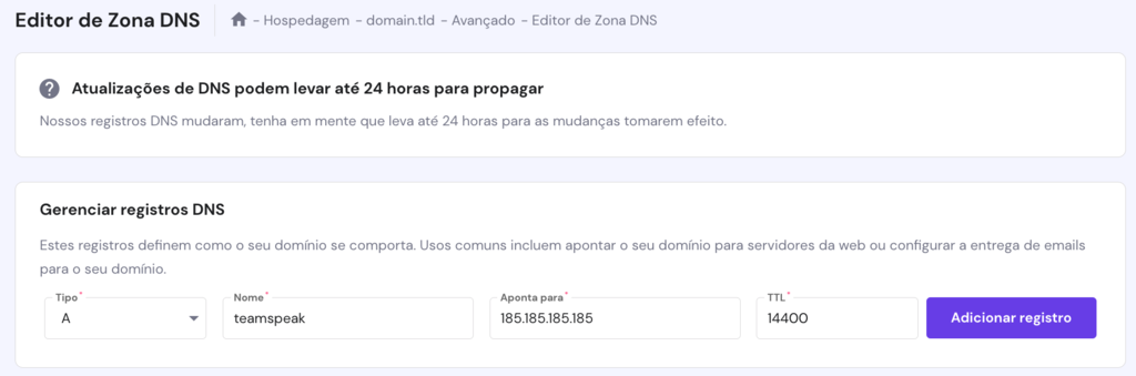 Gerenciador de zona DNS da Hostinger. O registro A para o teamspeak est&aacute; sendo adicionado