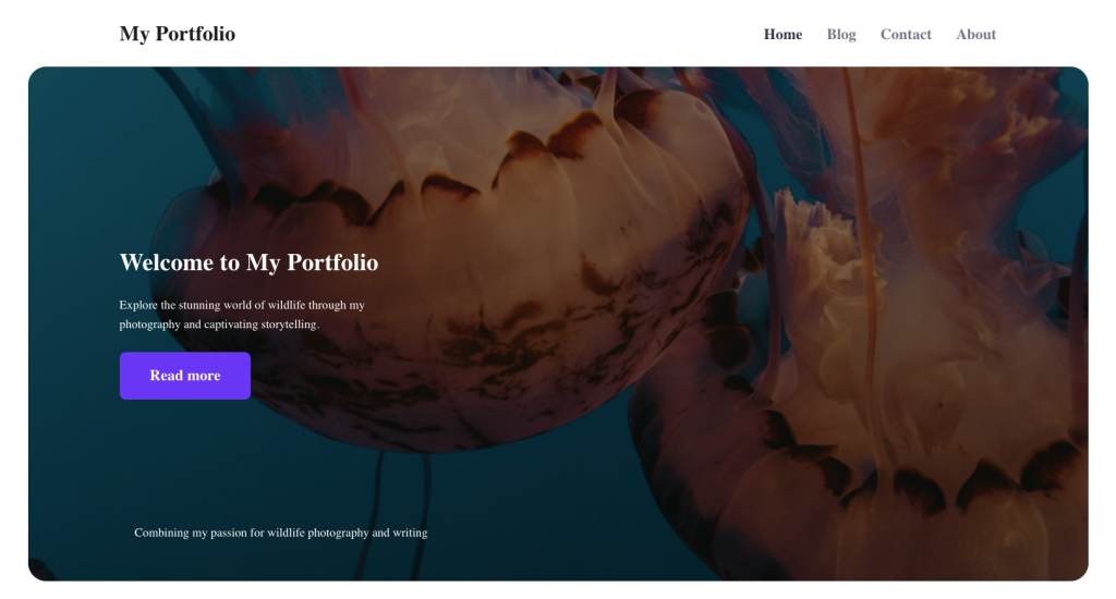 tema de blog da hostinger