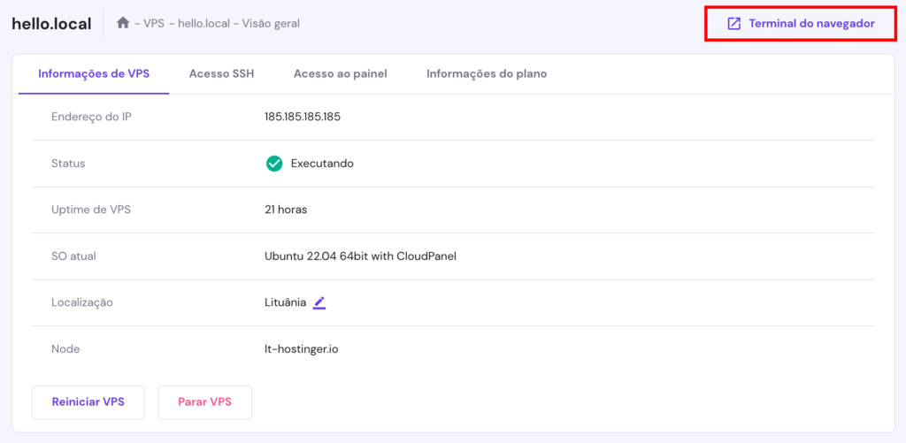 A p&aacute;gina de vis&atilde;o geral do VPS no hPanel. O bot&atilde;o do terminal do navegador est&aacute; destacado