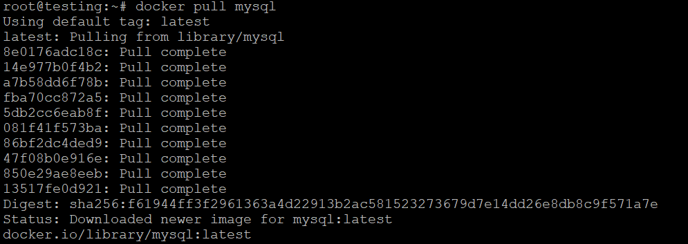 resultado do comando docker pull no terminal