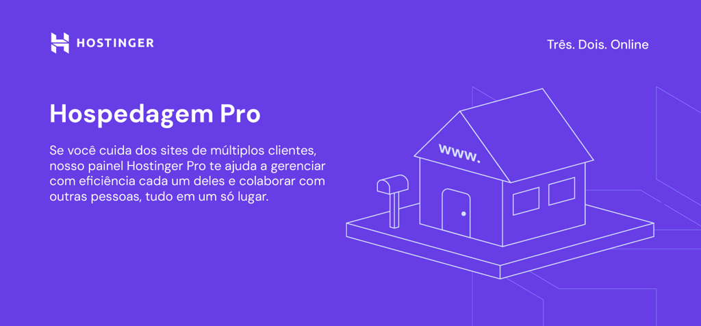 infogr&aacute;fico sobre hospedagem pro da hostinger