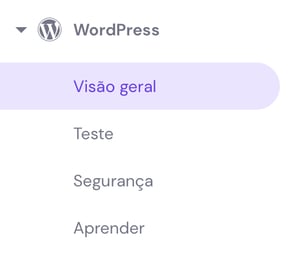 vis&atilde;o geral do wordpress no hpanel