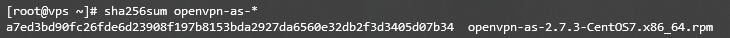 Sa&iacute;da de checksum no terminal
