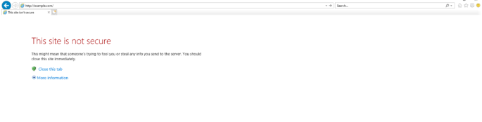 Captura de tela com a mensagem de erro net-err_cert_common_name_invalid no Internet Explorer