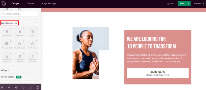 Integrando o WooCommerce com o plugin SeedProd no WordPress