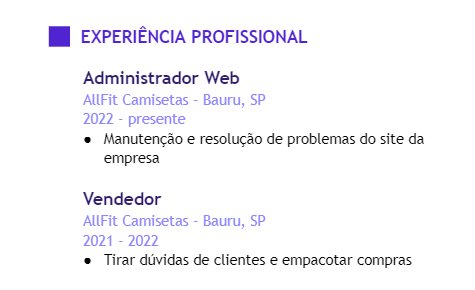 Exemplo de seção de experiência em currículo de programador júnior