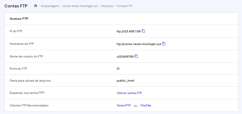 informações do acesso ftp no hpanel