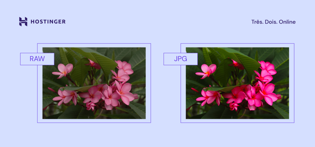 Compara&ccedil;&atilde;o lado a lado de uma imagem em RAW e JPEG