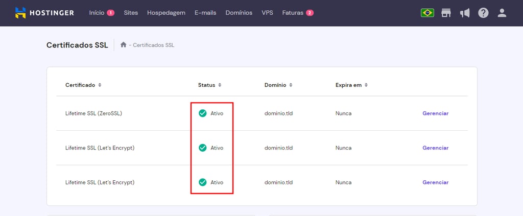 Indicador no hPanel mostrando que o certificado SSL está ativo