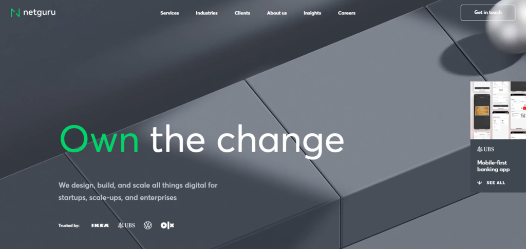 Site da Netguru