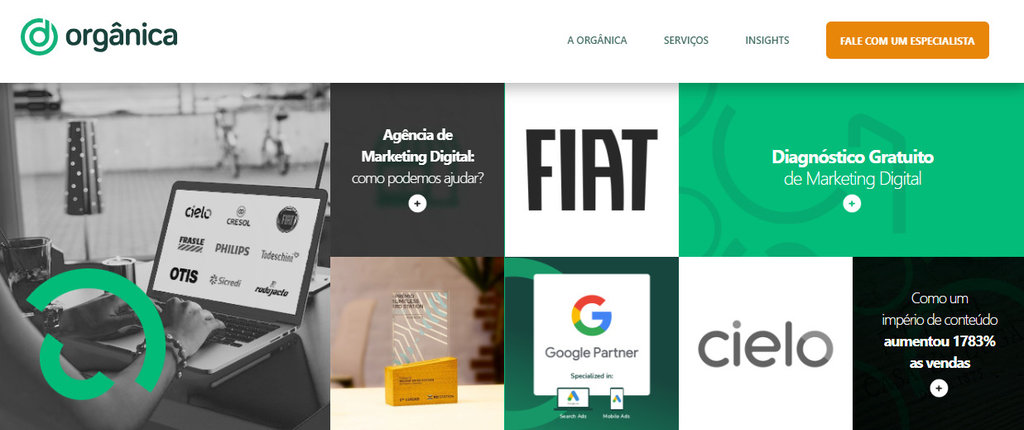 p&aacute;gina da org&acirc;nica digital