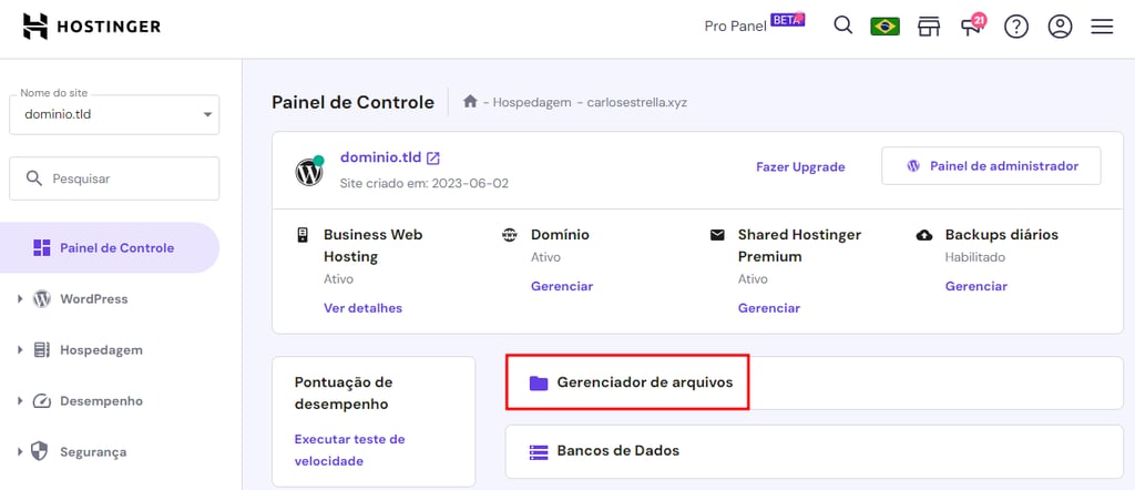 acessando gerenciador de arquivos pelo hpanel