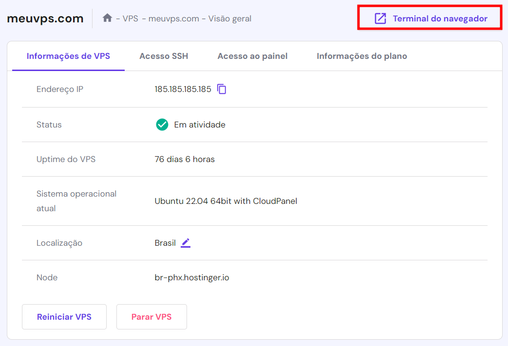 Página de informações do VPS no hPanel com a janela do terminal do navegador em destaque