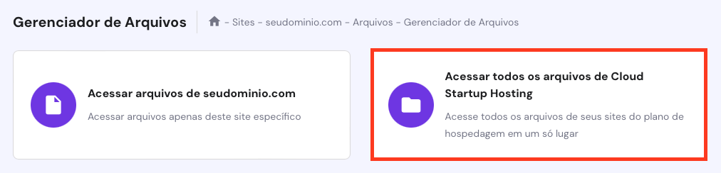 acessar todos os arquivos da hospedagem no gerenciador de arquivos do hpanel