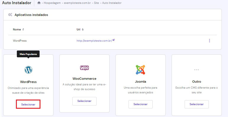Destaque para o botão de seleção do WordPress como CMS para instalação no novo subdomínio