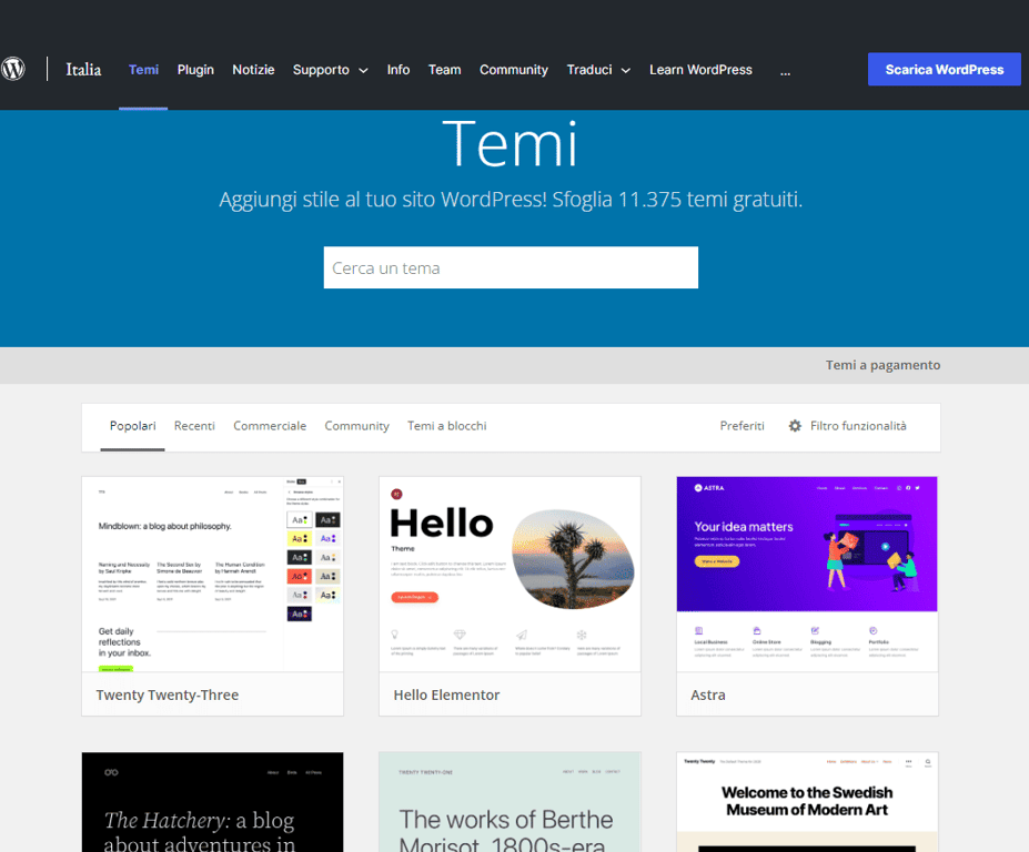 Pagina dei temi di WordPress