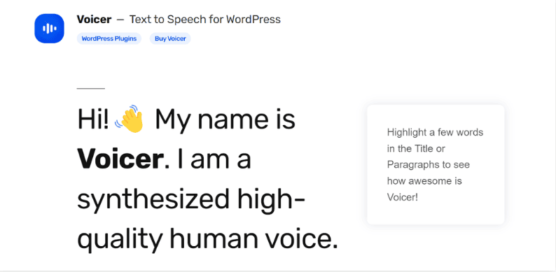 Landing page di Voicer
