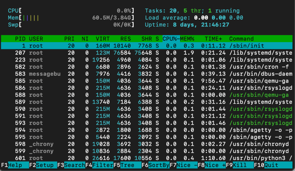 Il comando htop mostra il monitor delle prestazioni del server