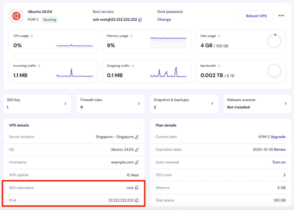 Le credenziali di login dell'SSH nella panoramica del VPS dell'hPanel