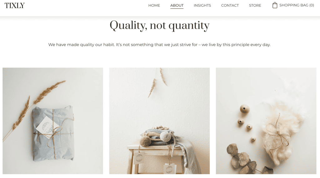 Template della pagina chi siamo Trixly