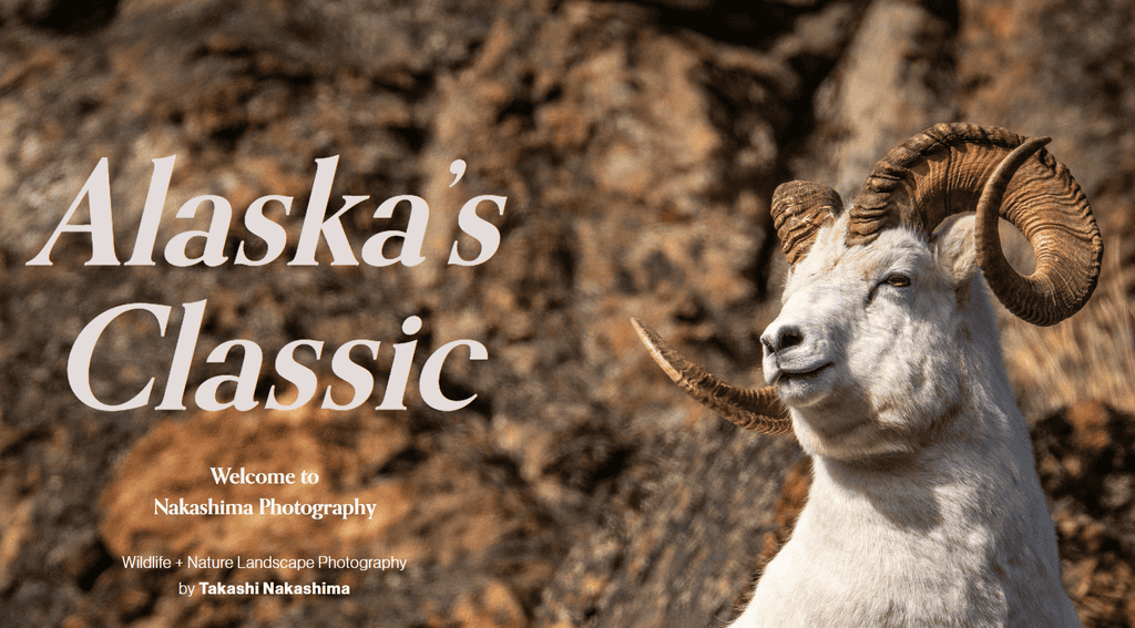Home page del sito di Nakashima Photography
