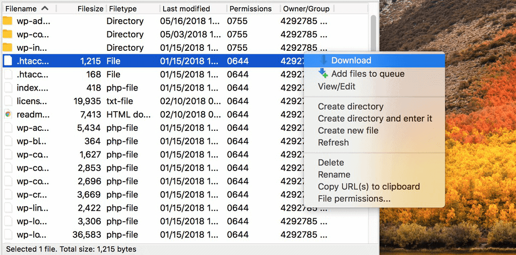 Download del file .htaccess di Filezilla