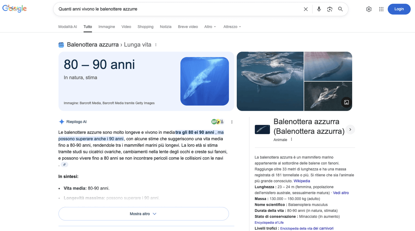 Un esempio dell'AI Overview di Google
