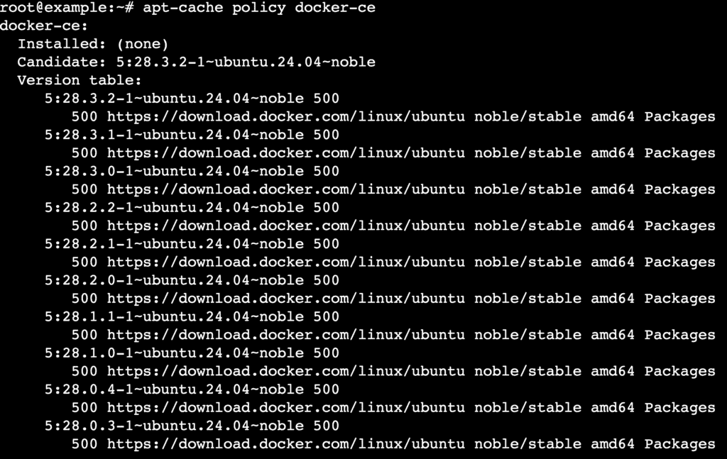 L'output del terminale mostra che l'ultima versione di Docker sarà installata dal suo repository ufficiale