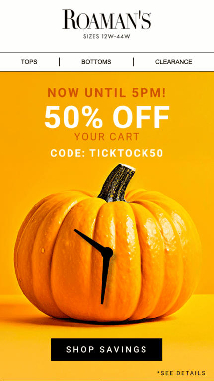 Email di recupero del carrello abbandonato di Roaman's