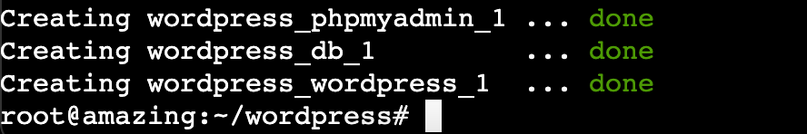 Il terminale mostra che Docker ha completato l’installazione di WordPress
