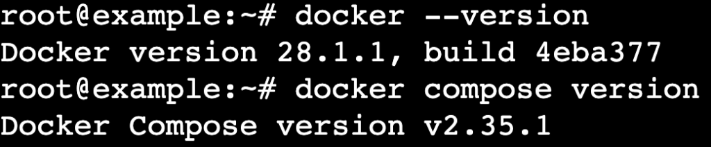 Un output del terminale che mostra le versioni di Docker Engine e Docker Compose installate