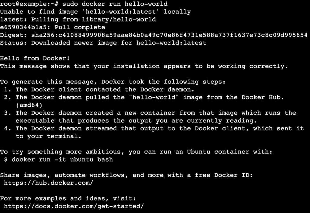 Un output di terminale che mostra il messaggio di successo dell'estrazione dell'immagine di prova di hello-world