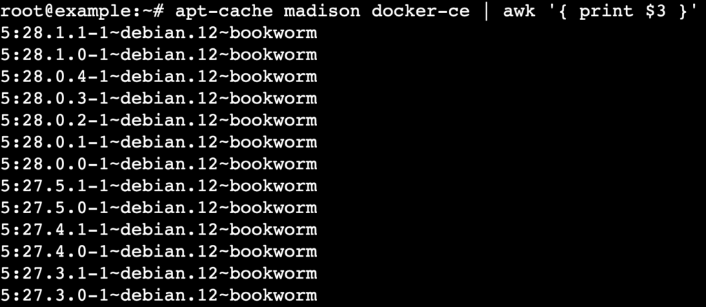 Un output di terminale che mostra tutte le versioni di Docker disponibili