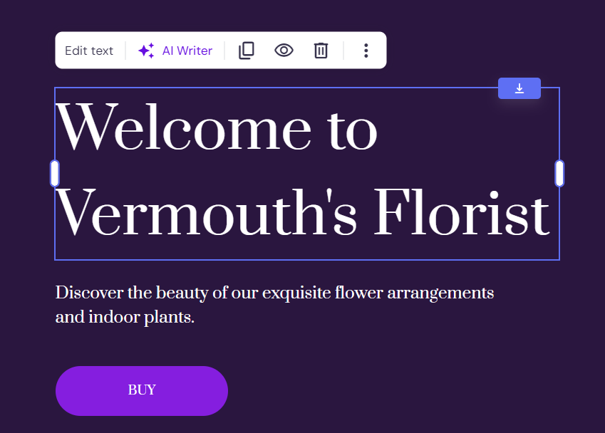 Hostinger bouwer toolbar