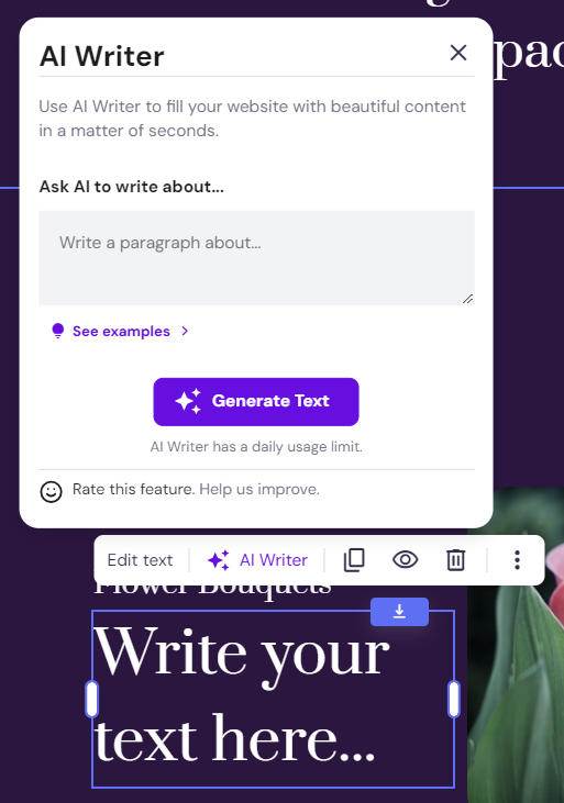 Hostinger AI writer formulier