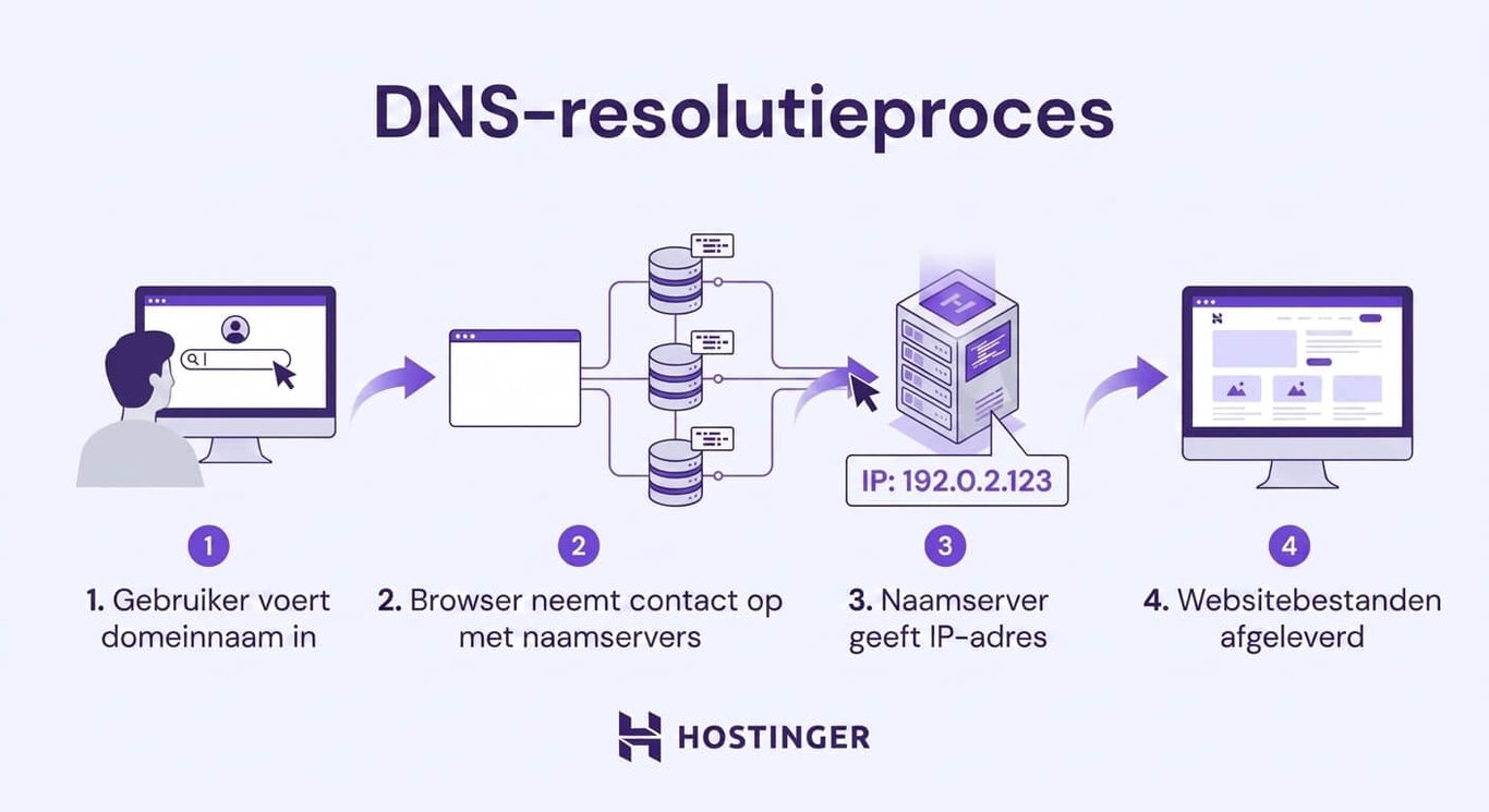 DNS-omzettingsproces