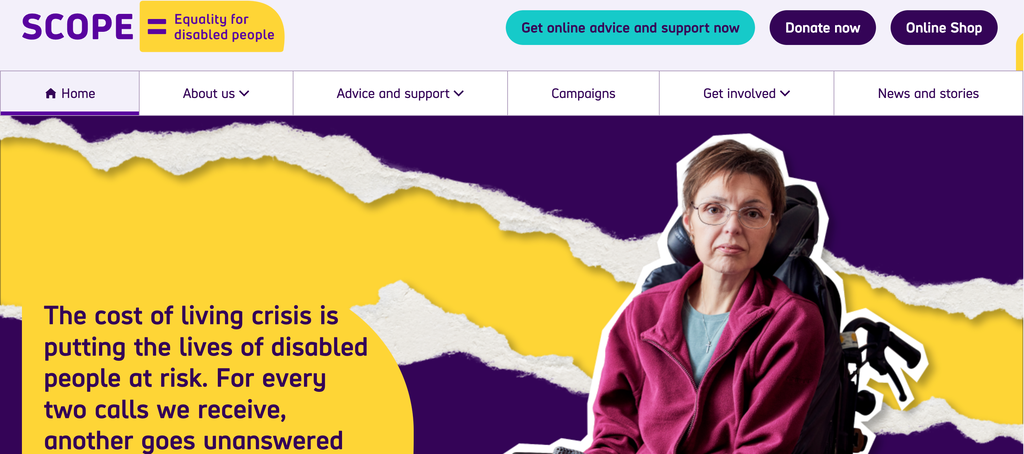 Die Homepage von Scope als Beispiel f&uuml;r eine barrierefreie Website.