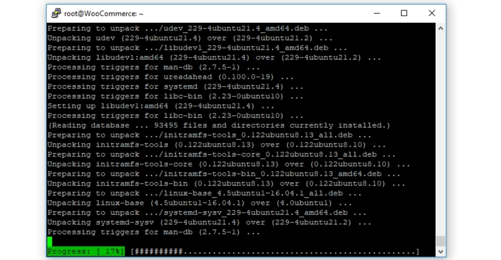 Ausführen des Befehls dist-upgrade.