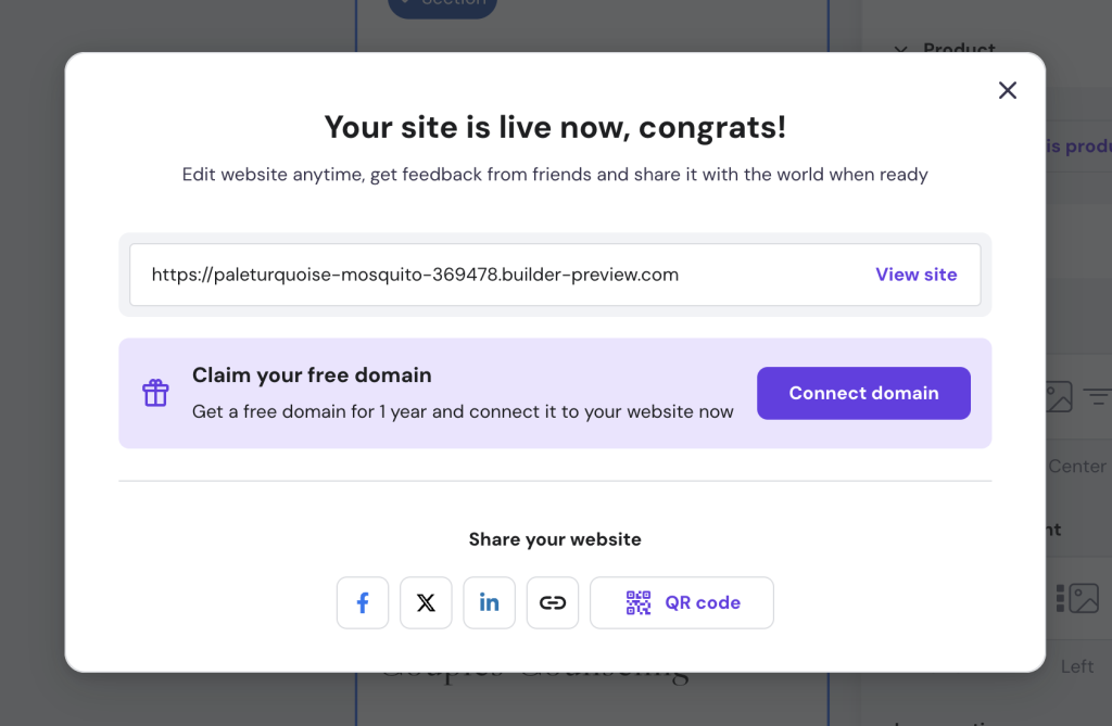 Popup "Ihre Website ist nun online."