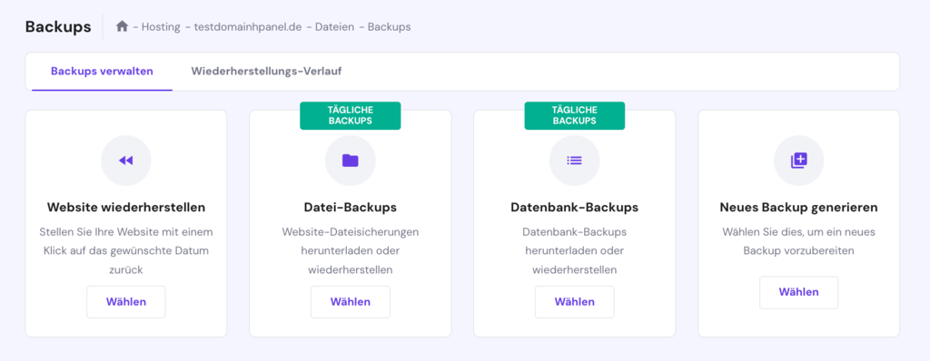 Die Auswahlmöglichkeiten im Abschnitt Backups